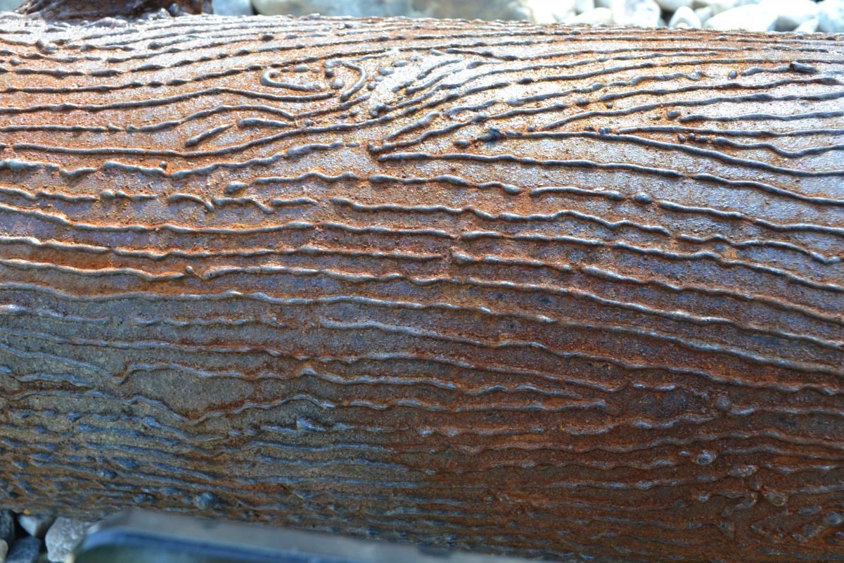 Sculpture log close up