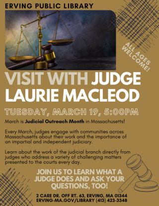 poster for visit with a judge