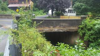 A profile of Church Street Bridge showing concrete spalling and plant overgrowth in the foreground