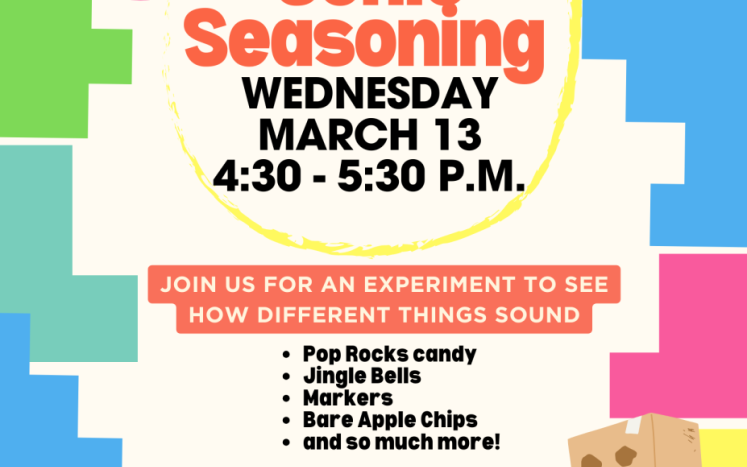 sonic seasoning poster