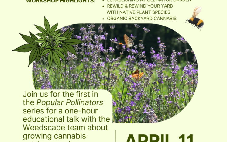 weedscape pollinator poster