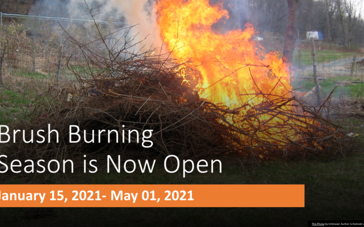 Brush Burning 2021
